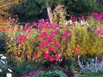 Gunville House B&B Grateley 외부 사진